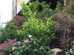 -胡桃里音乐酒馆(曲江店)