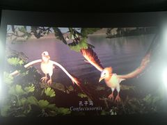 -中国科学技术馆影院