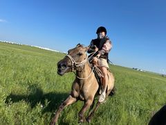 -呼和诺尔旅游景区