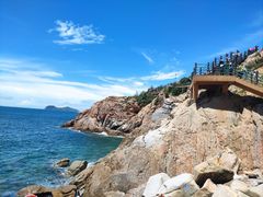 -广东惠东海龟国家级自然保护区