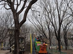 -朝阳公园游乐园