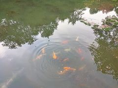 -白马涧龙池景区