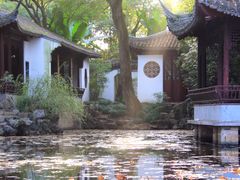 -秋霞圃