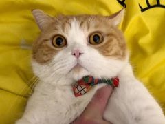 -太原东方动物医院(小店分院)