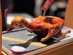 -羽鸽集·乳鸽专门店·地道顺德菜(岭南站店)