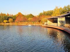 -春晖园度假酒店温泉