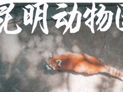 -昆明动物园