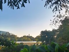 -华侨城湿地公园