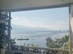 -阿鹏故事野生菌火锅(古城店)