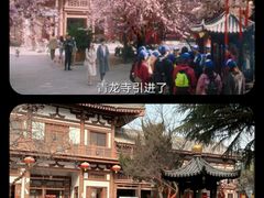 -西安青龙寺遗址景区