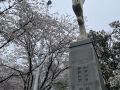 -武汉大学-樱园
