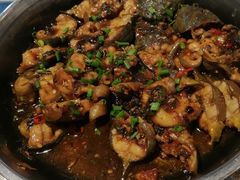 -石岐乳鸽村(桥观坊南四巷店)