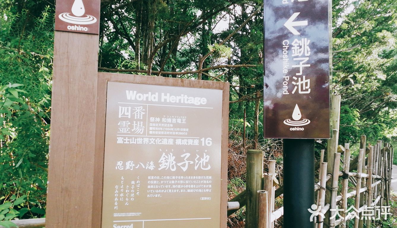 忍野八海，日本旅游的景点之一，离富士山不远