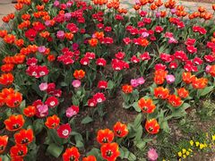 -南通洲际绿博园