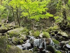 -藏龙百瀑风景区