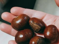 高记糖炒栗子-高记桂花糖炒栗(鼓楼店)