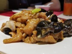 -凯鸽酒楼(操场城店)