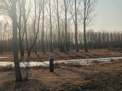 -东郊湿地公园