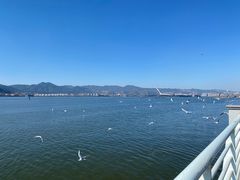 -海埂大坝