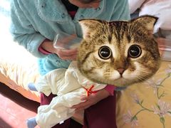 -千户高端家政育儿嫂·保姆·儿童陪伴师
