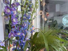 -FEI FEI FLOWER鲜花店·气球派对·宝宝宴布置(虹口德必运动Loft店)