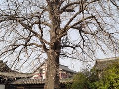-常熟方塔园