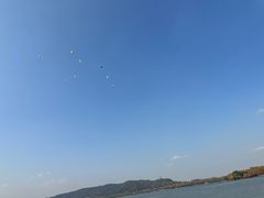-西湖游船