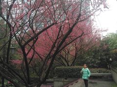 -浙江大学医学院附属第二医院(解放路院区)