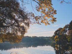 -上海共青森林公园
