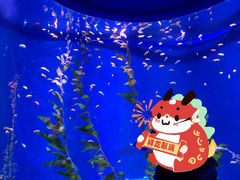-欢乐海岸海洋奇梦馆
