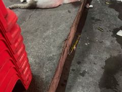 -正宗棉湖甜汤春卷店