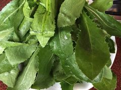 藏红花苗-顺顺小吃(独克宗古城店)