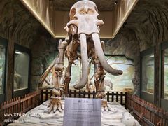 -白帝城·瞿塘峡景区