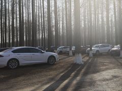 -黄海国家森林公园