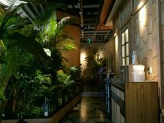 -大头椰·椰子鸡火锅(南宁万象城店)