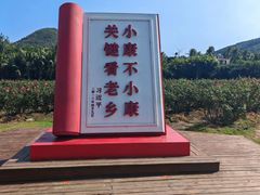 -亚龙湾国际玫瑰谷
