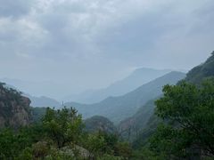 -大岭沟猕猴桃谷风景区