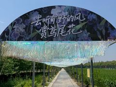 -上海长兴岛郊野公园
