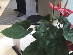 店内环境-招商银行(上海虹桥商务区支行)