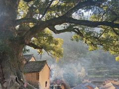 -杨家堂村