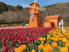 -苏州上方山国家森林公园