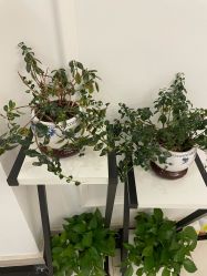 -香秀空间科技抗衰·美容中心