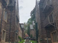 -普林斯顿大学