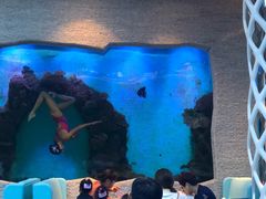 -瑞德姆美人鱼海底演艺主题餐厅(亚龙湾店)