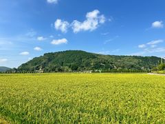 -南泥湾风景区