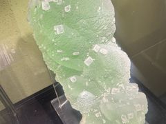 -中华赏石园