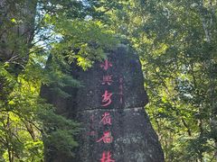 -汤旺河林海奇石景区