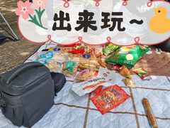 -丁香湖公园