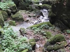 -藏龙百瀑风景区