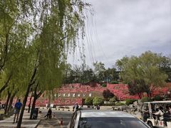 -西安曲江寒窑遗址公园